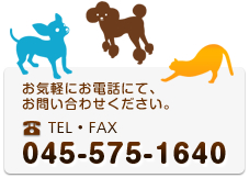 TEL/FAX 045-575-1640